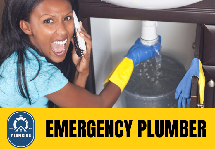emergency plumber Hartley